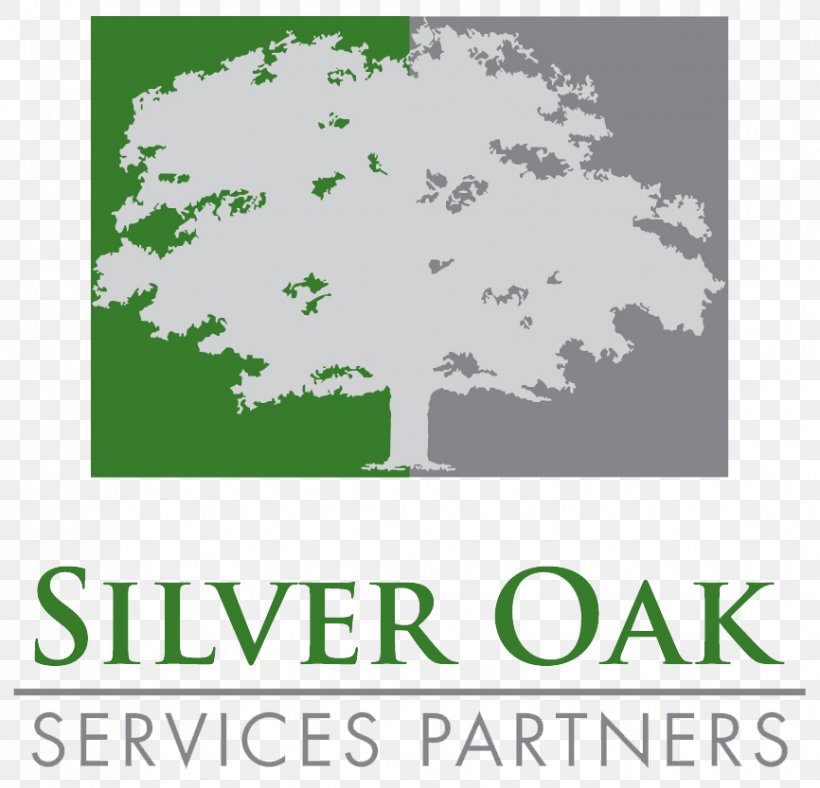 Silver Oak Services Partners LLC Forum Capital Partners Partnership Private Equity Firm, PNG, 866x833px, Partnership, Area, Branch, Brand, Business Download Free