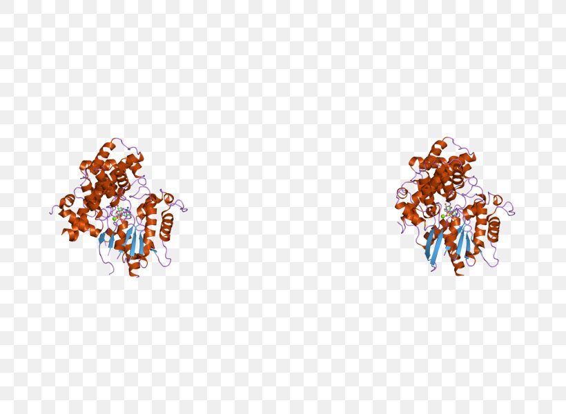 Earring Art Body Jewellery Font, PNG, 800x600px, Earring, Art, Body Jewellery, Body Jewelry, Earrings Download Free