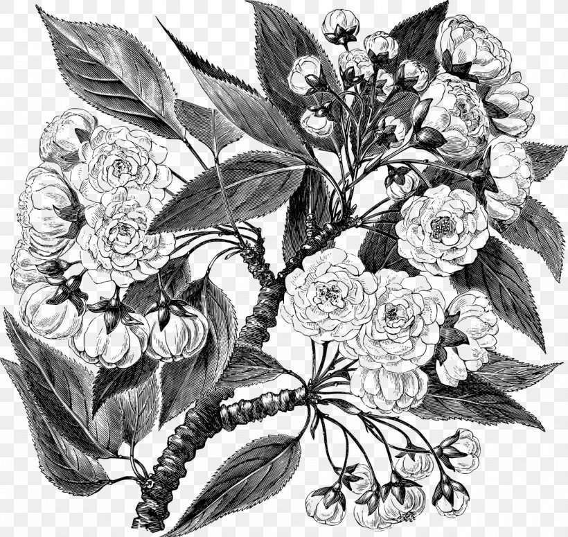 Flower Black-and-white Plant Bouquet Cut Flowers, PNG, 1280x1210px, Flower, Anthurium, Blackandwhite, Bouquet, Cut Flowers Download Free