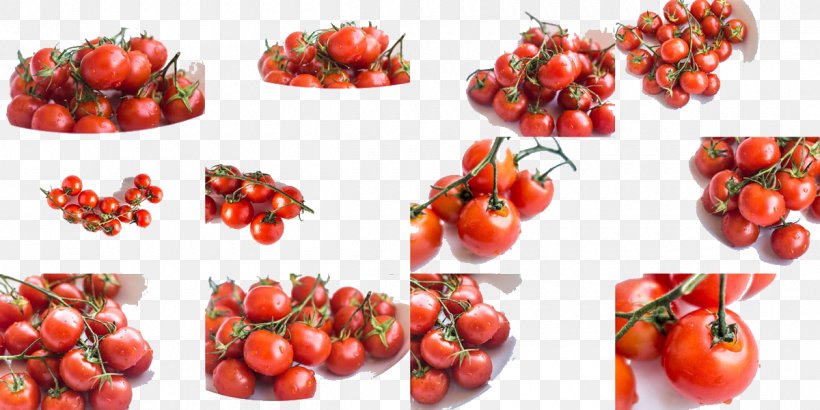 Plum Tomato Cherry Tomato Bush Tomato, PNG, 1200x600px, Plum Tomato, Bell Pepper, Bell Peppers And Chili Peppers, Berry, Bush Tomato Download Free