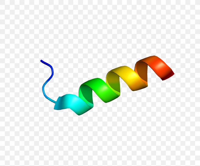 S100A11 S100 Protein Gene Calcium-binding Protein, PNG, 1200x1000px, Watercolor, Cartoon, Flower, Frame, Heart Download Free