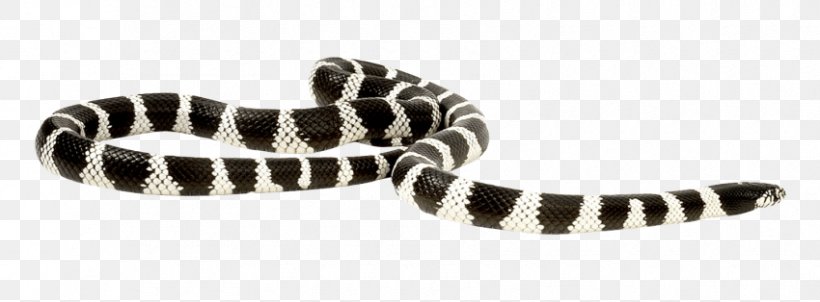 Snakes Reptile Clip Art Image, PNG, 850x314px, Snakes, Animal, Animal Figure, Body Jewelry, Digital Image Download Free
