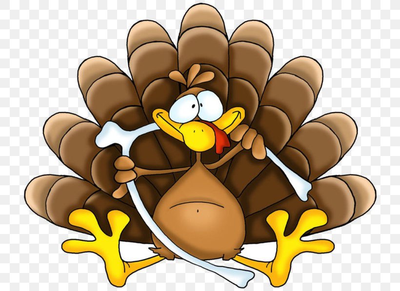 Thanksgiving Holiday Turkey Clip Art, PNG, 736x597px, Thanksgiving, Bird, Carnivoran, Cartoon, Finger Download Free