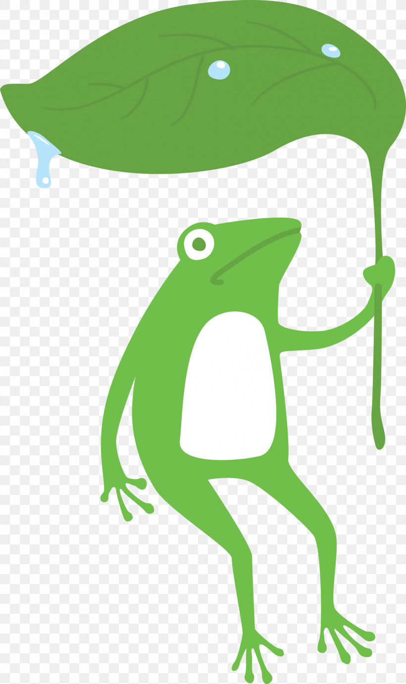 True Frog Tree Frog Frogs Toad Cartoon, PNG, 1779x2999px, Frog, Cartoon, Frogs, Green, Leaf Download Free