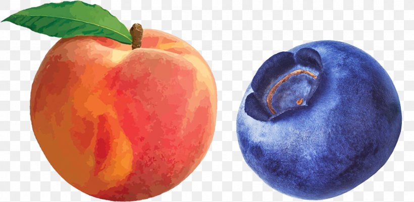 Palisade Peach Clip Art, PNG, 1767x866px, Palisade, Accessory Fruit, Apple, Bbcode, Diet Food Download Free