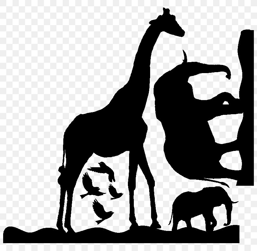 Giraffe Silhouette Mustang Gazelle, PNG, 800x800px, Giraffe, Animal, Black, Black And White, Drawing Download Free