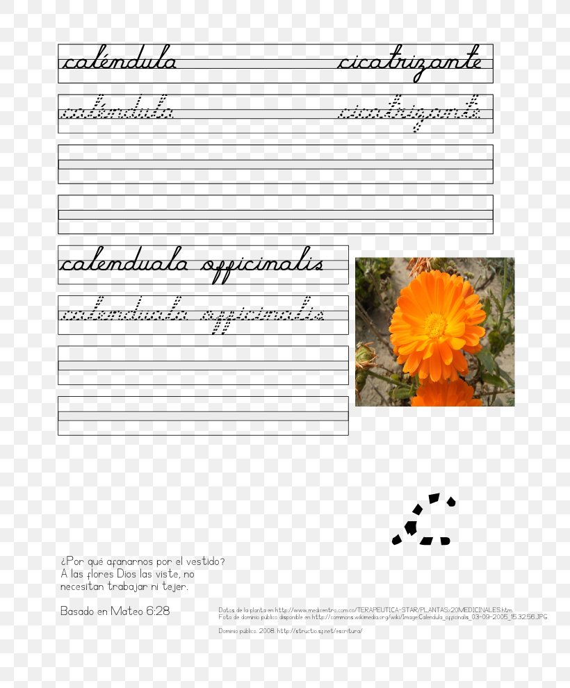 Letter Text Cursive Bas De Casse Plant, PNG, 765x990px, Letter, Bas De Casse, Cursive, Document, Flower Download Free