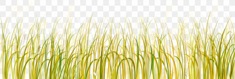 Grasses Lawn Clip Art, PNG, 2600x883px, Grass, Advertising, Commodity, Dots Per Inch, Flora Download Free