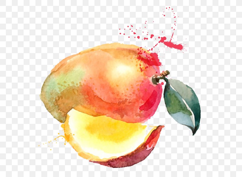 Juice Smoothie Mango Watercolor Painting Drawing, PNG, 600x600px, Juice, Drawing, Flower, Food, Fruit Download Free