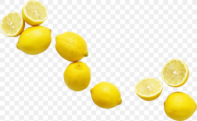 Logo Lemon, PNG, 3000x1846px, Logo, Citric Acid, Citron, Citrus, Copywriting Download Free