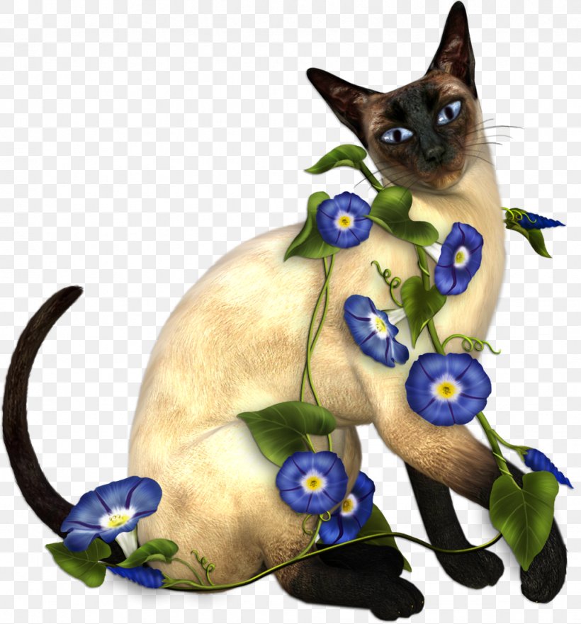 Siamese Cat Kitten Animal Moscow Cat Museum Clip Art, PNG, 1022x1099px, Siamese Cat, Animal, Carnivora, Carnivoran, Cat Download Free