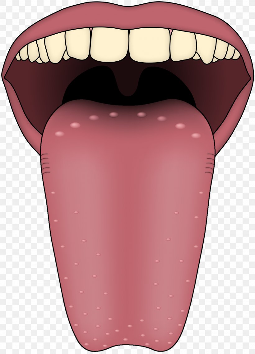 Tongue on taste buds How to