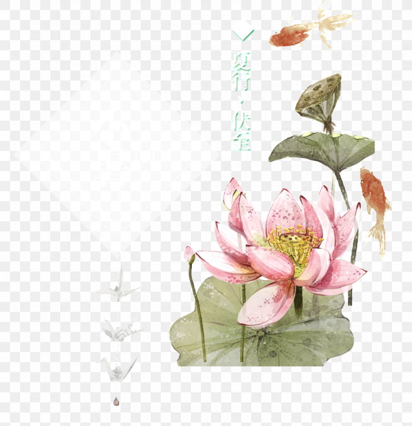 Floral Design Image Vector Graphics, PNG, 1024x1058px, Floral Design, Anthurium, Aquatic Plant, Art, Botany Download Free