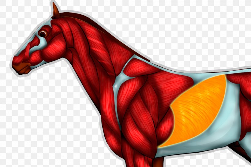 Horse Cartoon Dragon, PNG, 960x640px, Horse, Art, Cartoon, Character, Dragon Download Free