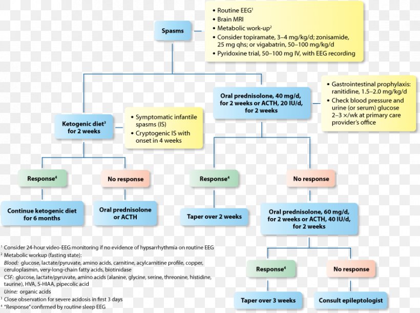 Ketogenic Diet Epilepsy Medical Guideline Therapy Epileptic Seizure, PNG, 863x643px, Ketogenic Diet, Area, Brand, Convulsions, Diabetes Mellitus Download Free