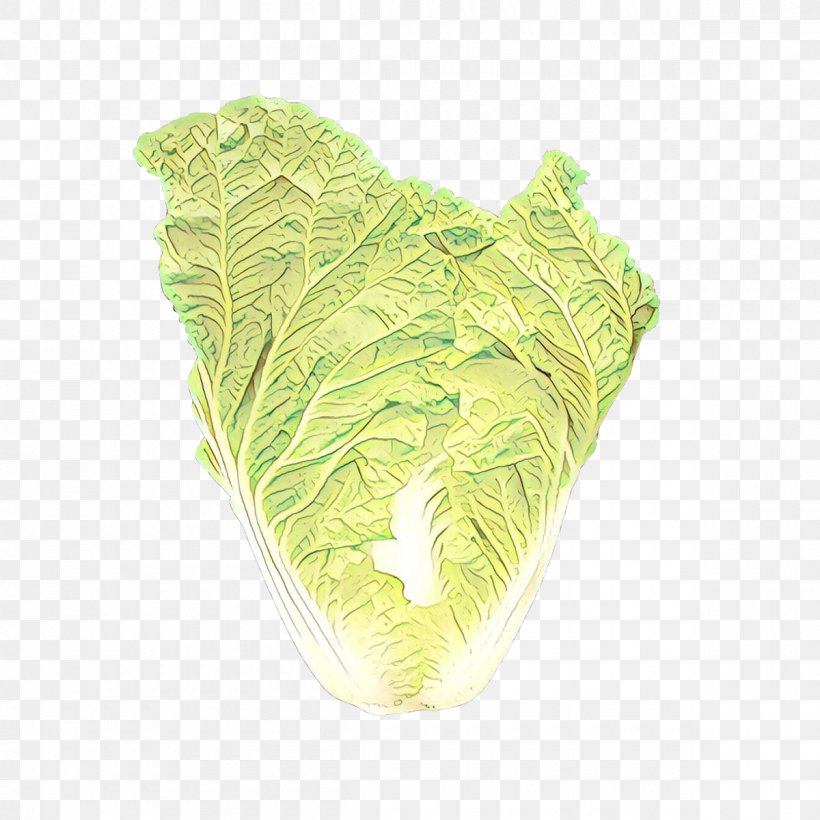 Leaf Green Cabbage Plant Vegetable, PNG, 1200x1200px, Cartoon, Anthurium, Cabbage, Chinese Cabbage, Green Download Free