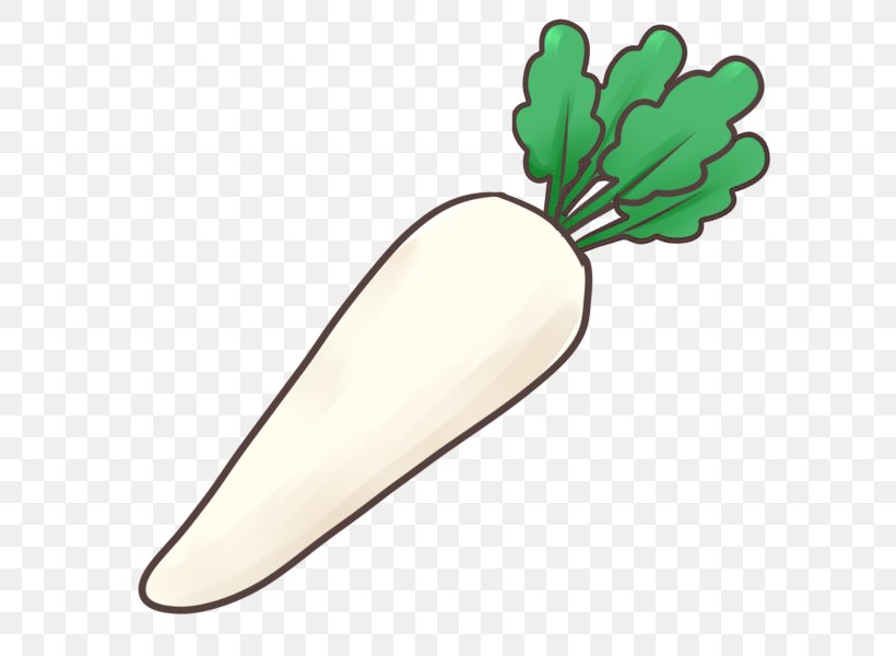 Vegetable Daikon Food Napa Cabbage Clip Art, PNG, 600x600px, Vegetable, Capitata Group, Carrot, Daikon, Eggplant Download Free