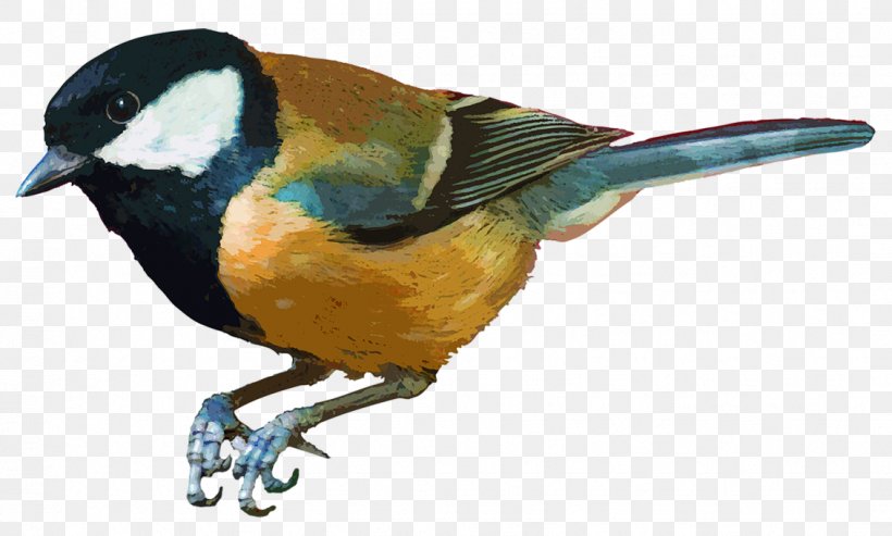Bird House Sparrow Parrot Painting, PNG, 1131x681px, Bird, Animal, Beak, Chickadee, Fauna Download Free
