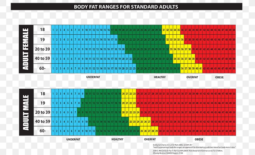 Body Fat Level Chart