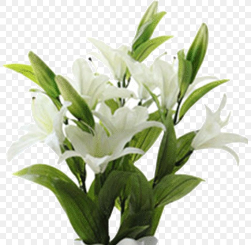 Cut Flowers Lilium Floral Design Plant, PNG, 800x800px, Flower, Cut Flowers, Floral Design, Flowering Plant, Flowerpot Download Free