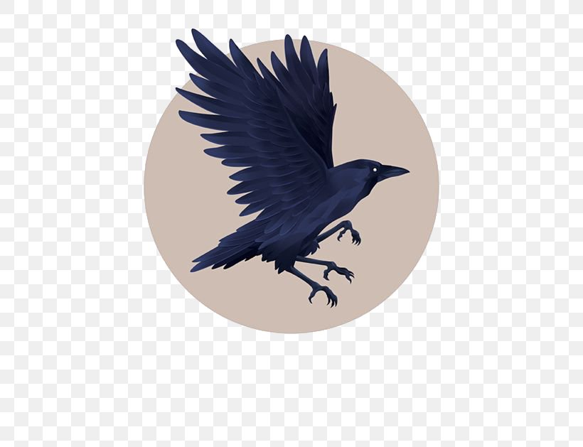 Graphic Design Little Crow Illustration, PNG, 564x629px, Little Crow, American Crow, Beak, Bird, Cartoon Download Free