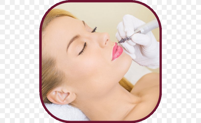 Permanent Makeup Microblading Cosmetics Eyebrow Eyelash, PNG, 500x500px, Permanent Makeup, Beauty, Cheek, Chin, Cosmetics Download Free