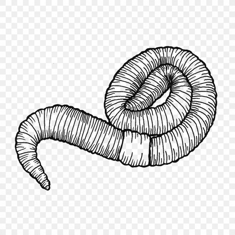 Earthworm Drawing Line Art Clip Art, PNG, 1000x1000px, Worm, Black And White, Cartoon, Drawing, Earthworm Download Free