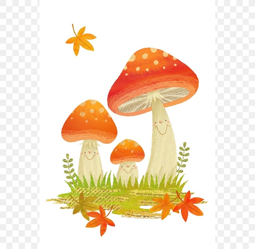 Mushroom Watercolor Painting Clip Art, PNG, 565x800px, Mushroom, Color, Common Mushroom, Drawing, Orange Download Free