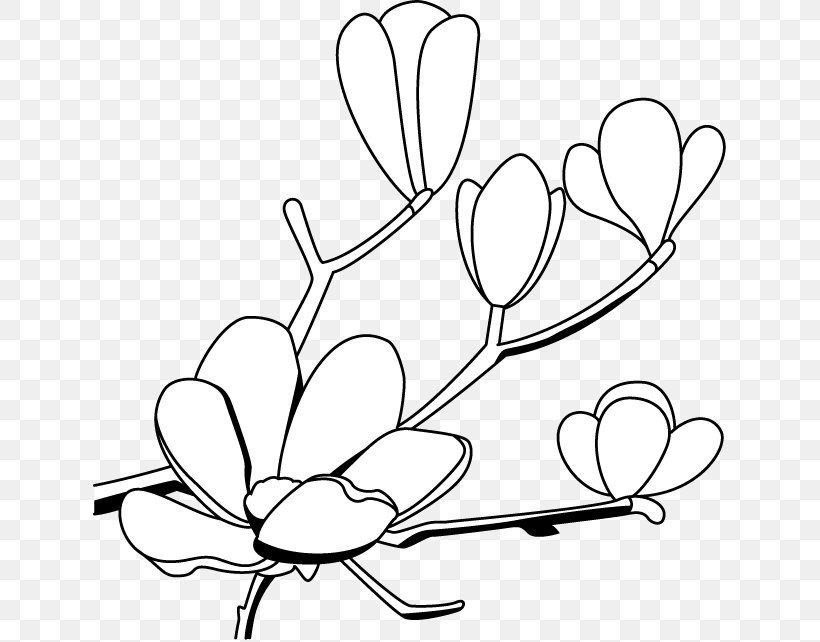 Southern Magnolia Drawing Clip Art, PNG, 633x642px, Watercolor, Cartoon, Flower, Frame, Heart Download Free