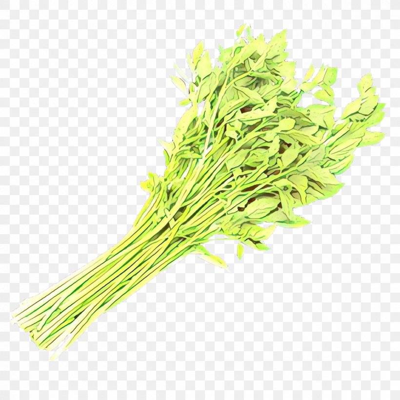 Cartoon Grass, PNG, 1200x1200px, Cartoon, Chinese Celery, Chives, Commodity, Fennel Download Free