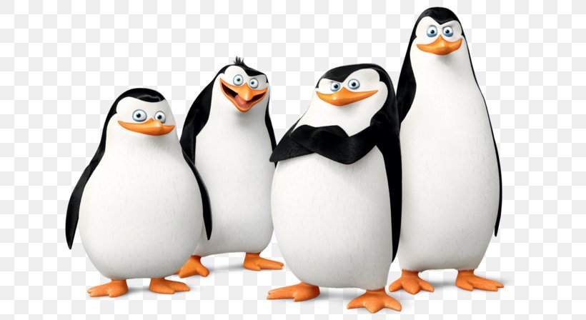 Madagascar: Operation Penguin Kowalski Skipper, PNG, 684x448px, 321 Penguins, Penguin, Beak, Bird, Charming Villain Download Free