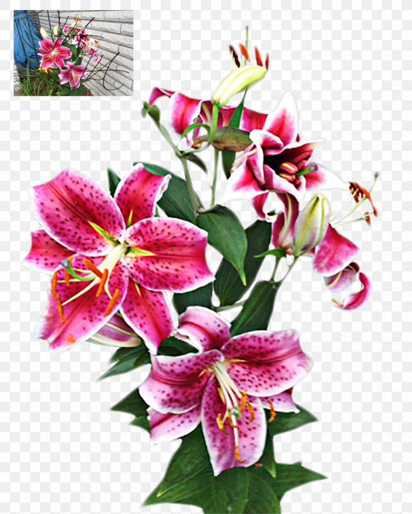 Cut Flowers Stock Floral Design Floristry, PNG, 1028x1283px, Flower, Alstroemeriaceae, Annual Plant, Credit, Cut Flowers Download Free