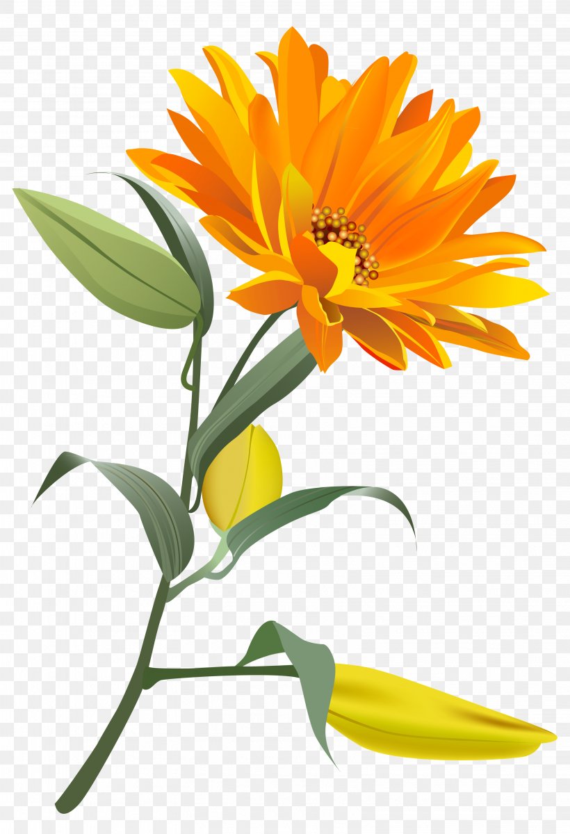 Flower Clip Art, PNG, 3243x4747px, Flower, Blue, Calendula, Chrysanthemum, Color Download Free