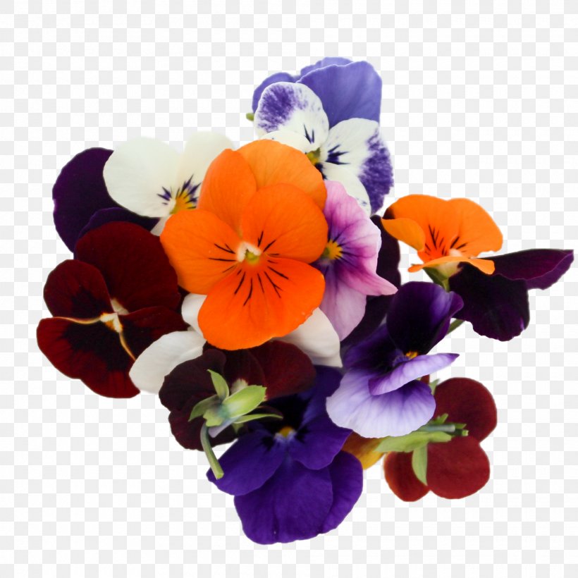 Pansy Floral Design Violet Cut Flowers Annual Plant, PNG, 1920x1920px, Pansy, Annual Plant, Cut Flowers, Floral Design, Flower Download Free