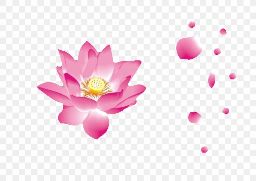 Petal Nelumbo Nucifera Pink, PNG, 1000x707px, Petal, Aquatic Plant, Blossom, Color, Designer Download Free