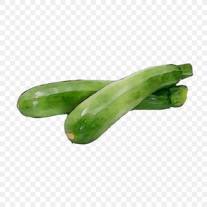 Pickled Cucumber, PNG, 1062x1062px, Cucumber, Cucumber Gourd And Melon Family, Cucumis, Food, Pickled Cucumber Download Free