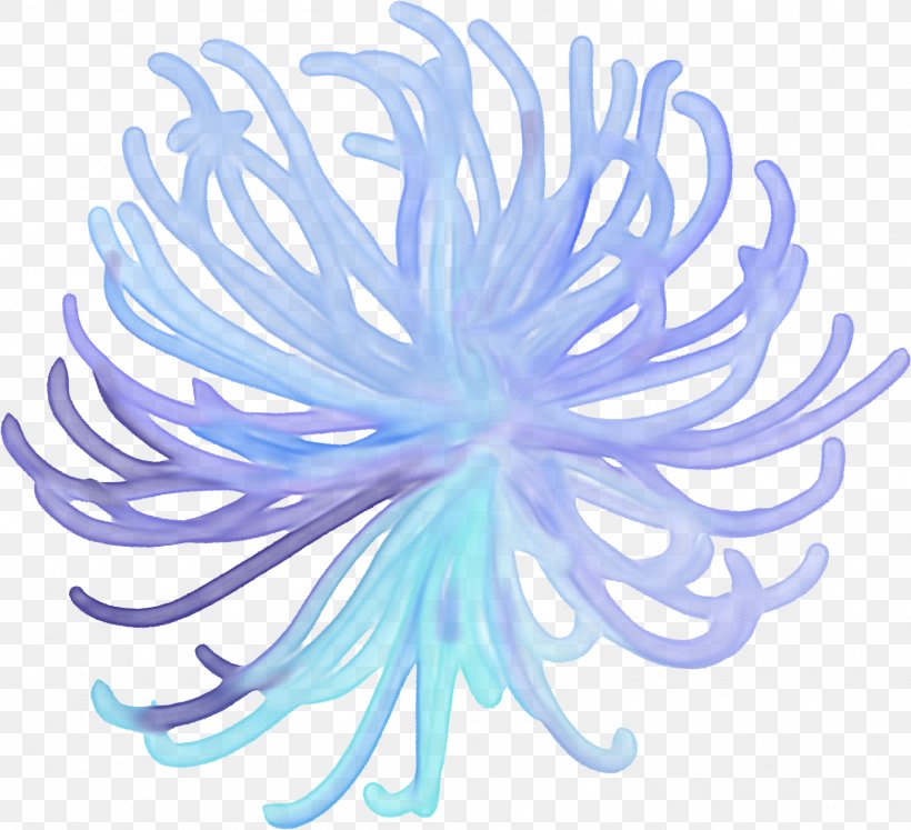 Sea Anemone Animal Clip Art, PNG, 1565x1427px, Sea Anemone, Anemone, Animal, Blue, Chrysanthemum Download Free