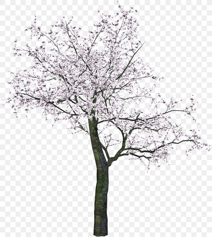 Tree Branch Clip Art, PNG, 1429x1600px, Tree, Blossom, Branch, Cherry Blossom, Flower Download Free