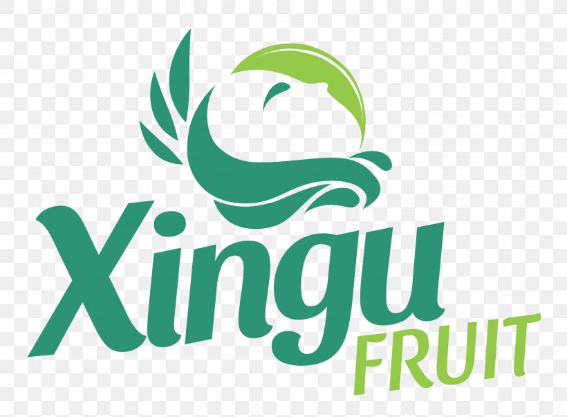 Xingu Fruit Amazon Rainforest Xingu River Expresso Digital Industry, PNG, 2996x2204px, Amazon Rainforest, Area, Artwork, Auglis, Brand Download Free