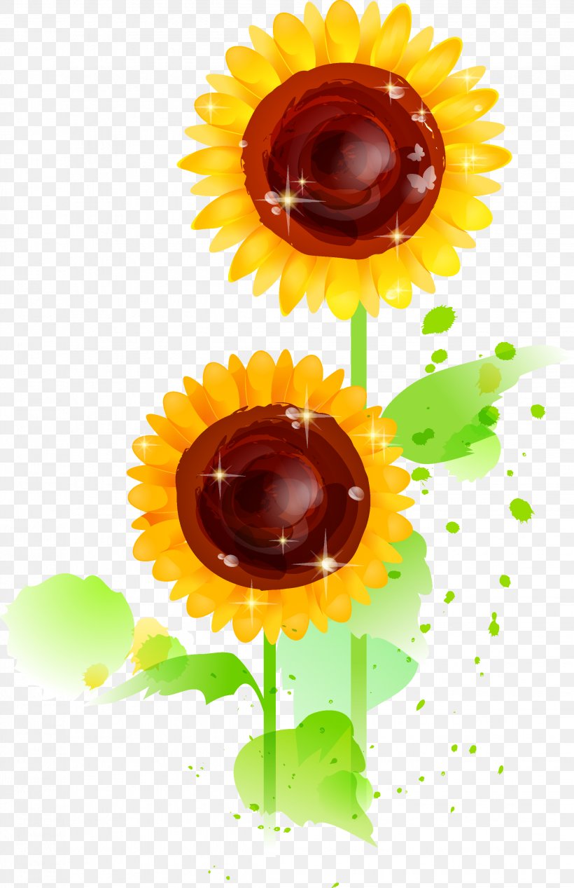 Common Sunflower Illustration, PNG, 2244x3469px, Common Sunflower, Cdr, Curve, Daisy Family, Flower Download Free
