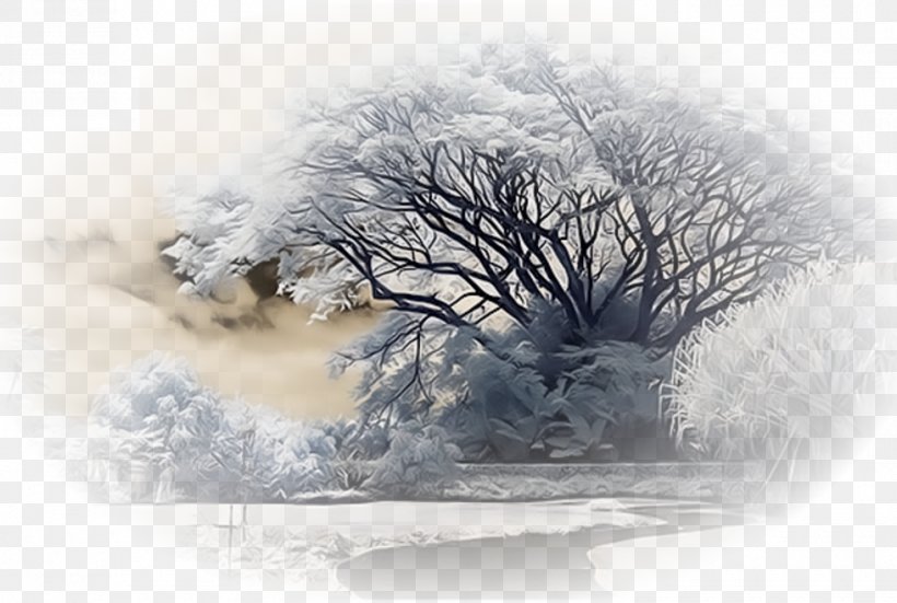 Landscape Nature Winter Snow, PNG, 980x659px, Landscape, Animal, Blog, Branch, Christmas Download Free