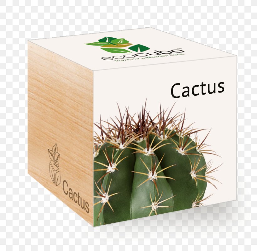 Plants Vs. Zombies: Garden Warfare 2 Cactaceae Succulent Plant, PNG, 800x800px, Plants Vs Zombies Garden Warfare 2, Aloe, Aloe Vera, Arecaceae, Box Download Free