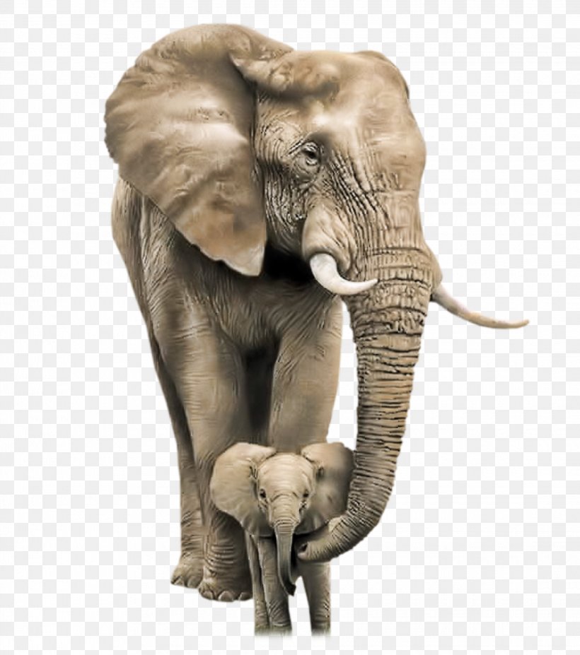 African Bush Elephant Mother Infant Child, PNG, 2240x2533px, Elephant, African Bush Elephant, African Elephant, Animal, Animal Figure Download Free