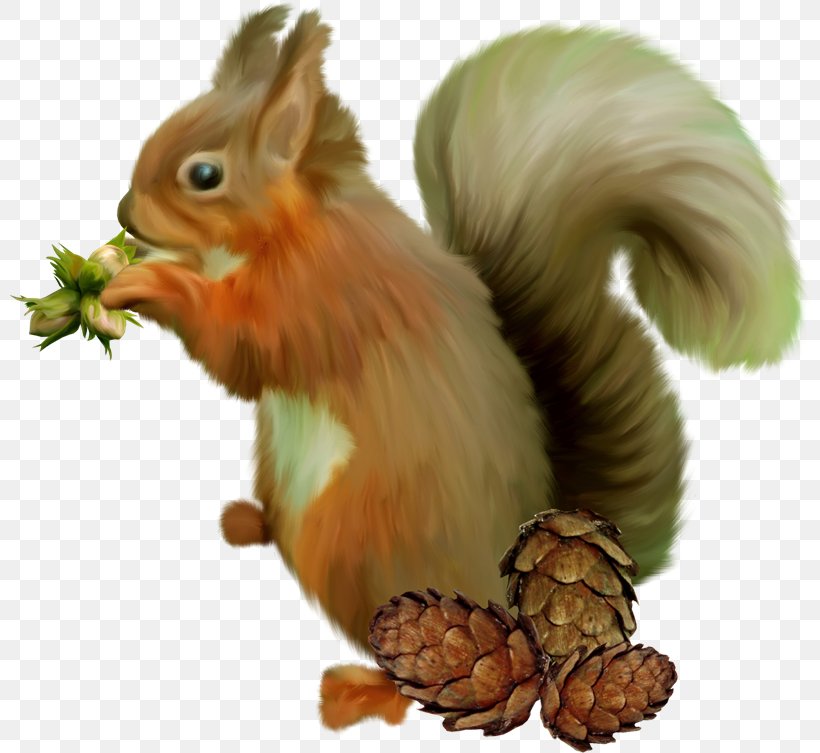 Chipmunk Squirrel GIMP Clip Art, PNG, 800x753px, Chipmunk, Coreldraw, Domestic Rabbit, Fauna, Gimp Download Free