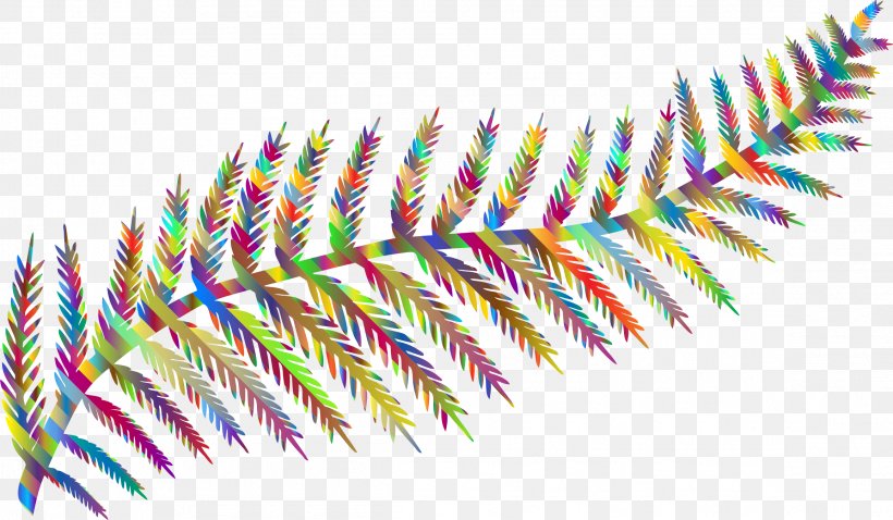 Fern Frond Leaf Plant Clip Art, PNG, 2314x1350px, Fern, Close Up, Feather, Frond, Leaf Download Free