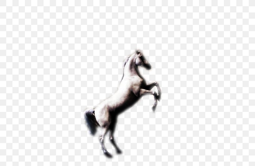 Mustang Stallion Halter Freikörperkultur Character, PNG, 483x534px, 2019 Ford Mustang, Mustang, Character, Fiction, Fictional Character Download Free