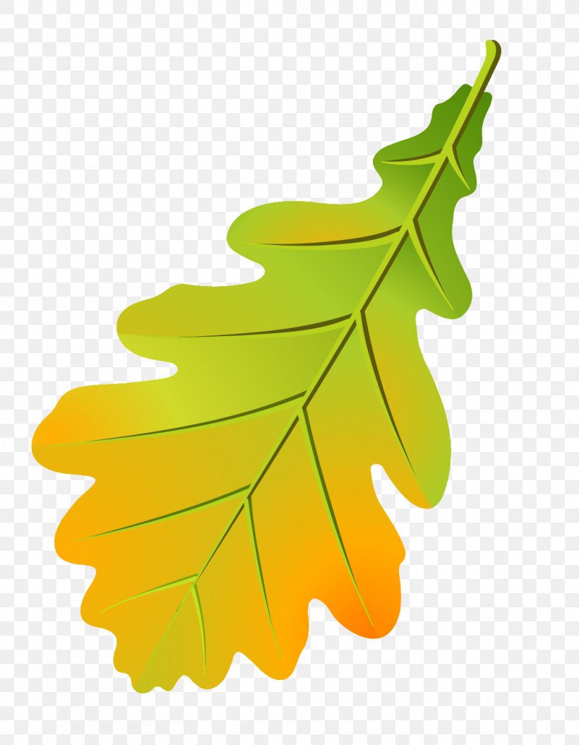 Oak Leaf Cluster Tree Leaflet Autumn Leaf Color, PNG, 1042x1341px, Leaf, Acorn, Autumn, Autumn Leaf Color, Autumn Leaves Download Free