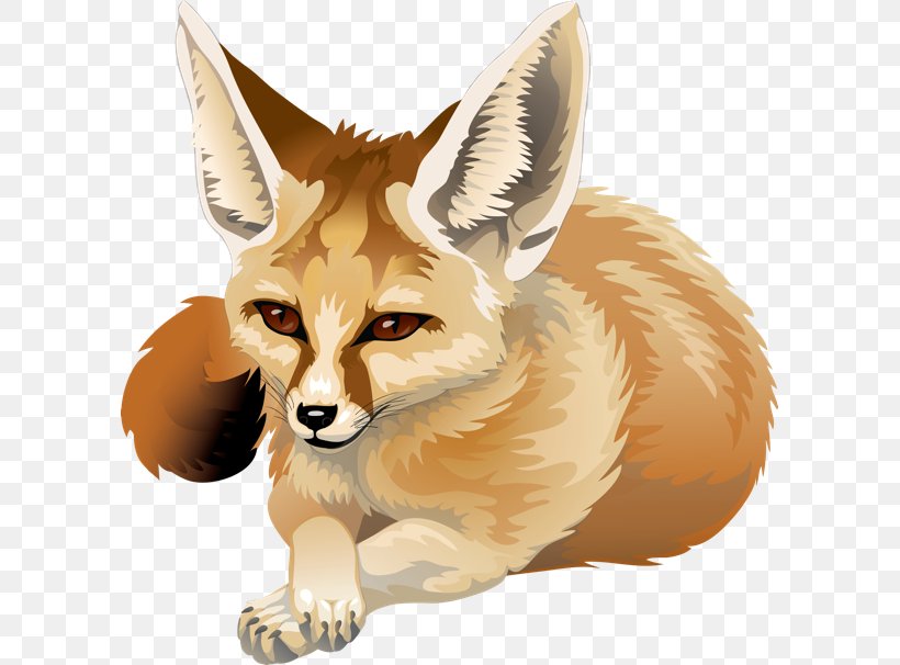 Red Fox Fennec Fox Canidae Clip Art, PNG, 599x606px, Red Fox, Animal, Canidae, Carnivoran, Cross Fox Download Free