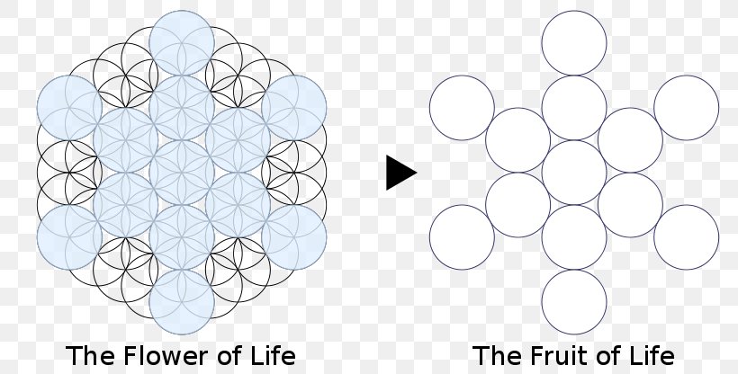Sacred Geometry Overlapping Circles Grid Tree Of Life Symbol, PNG, 800x416px, Sacred Geometry, Area, Bring Me The Horizon, Chakra, Diagram Download Free