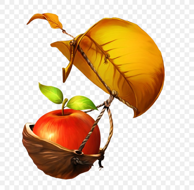 Tree Of Life, PNG, 800x800px, Leaf, Apple, Food, Fruit, Plant Download Free